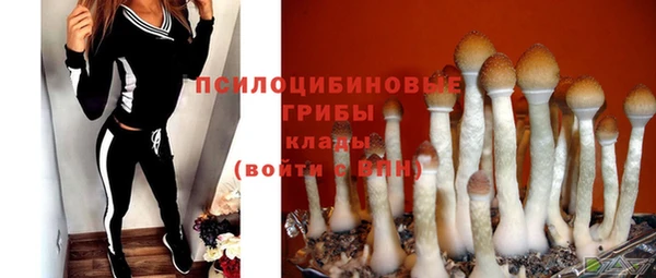 спиды Балахна