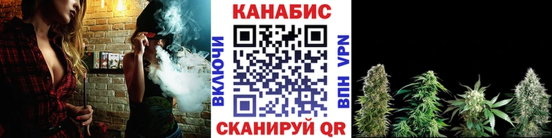 Каннабис конопля  Губкинский 
